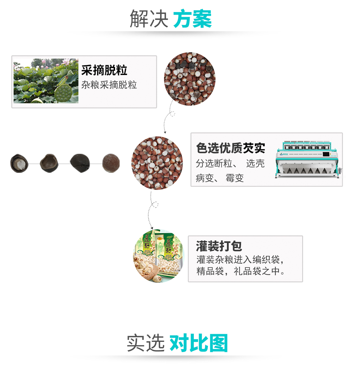 芡实色选机色选机厂家